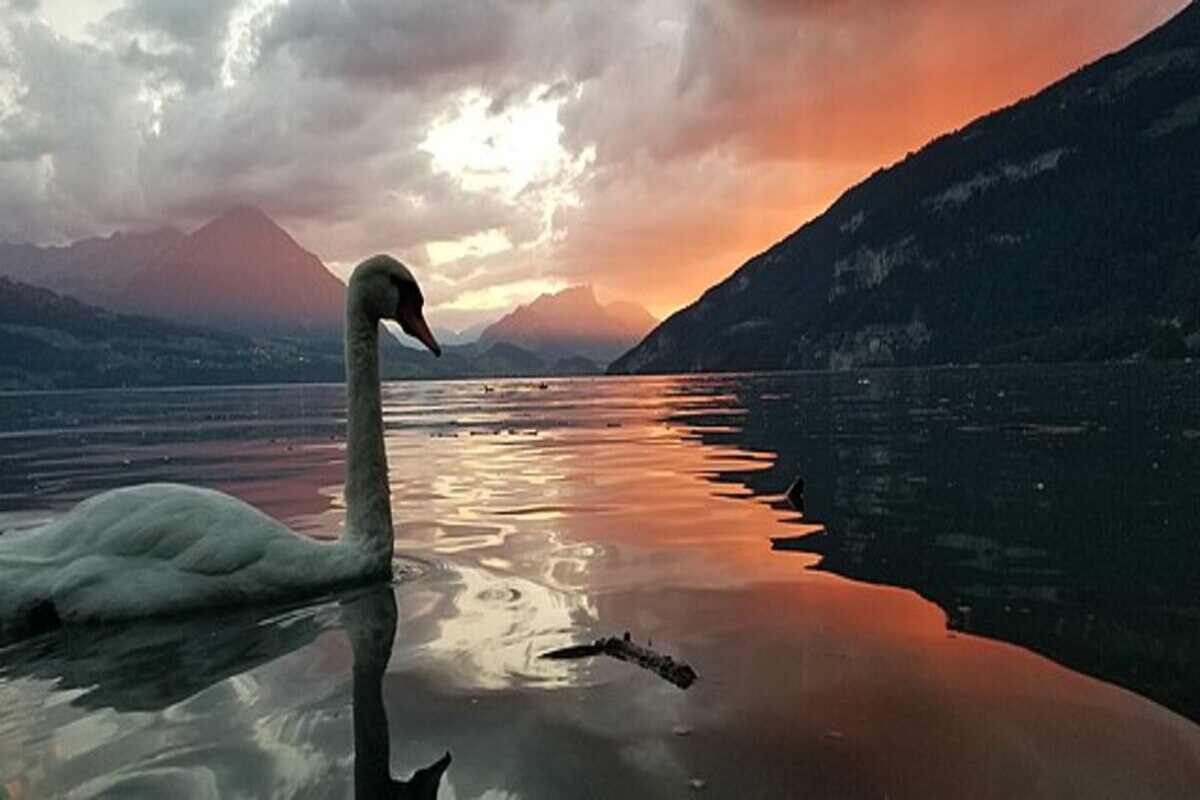 Lago di Brienz al tramonto
