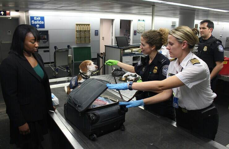 Bagaglio a mano in aereo: ecco le nuove regole da rispettare