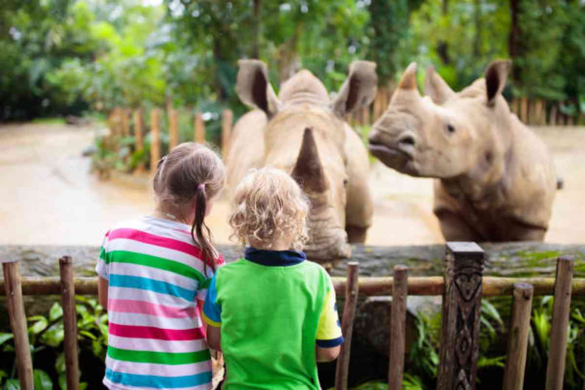 Dove fare zoo safari in Italia