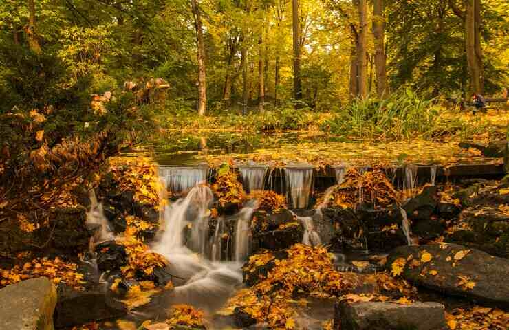 foliage e cascate